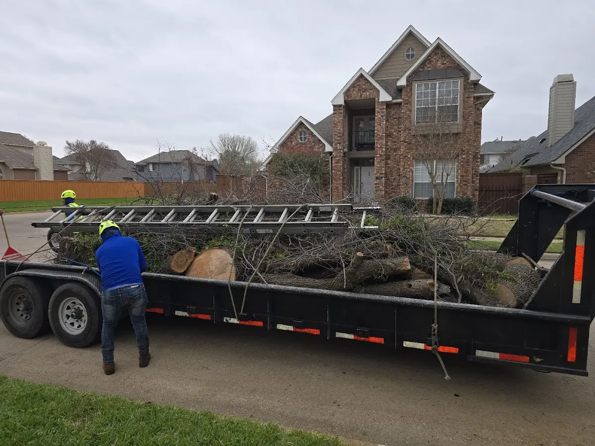 Expert Tree Pest Control with proper safety equipment in New Palestine
